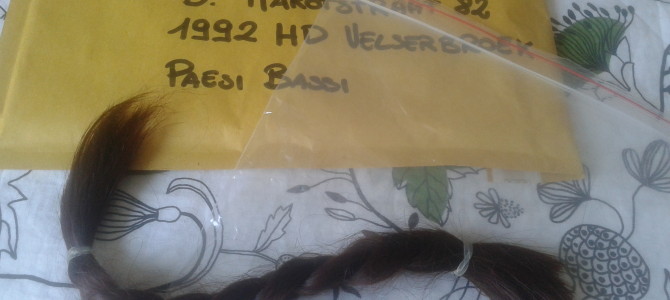 Haarstitching: hair donation happy ending
