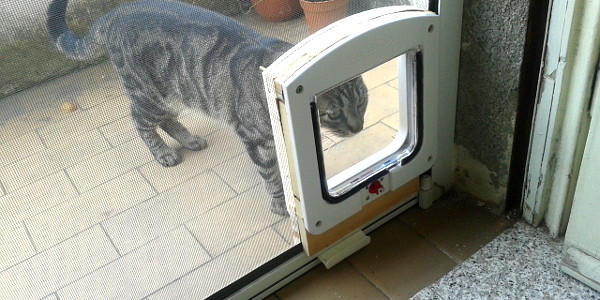 How to install a cat door on a mosquito net