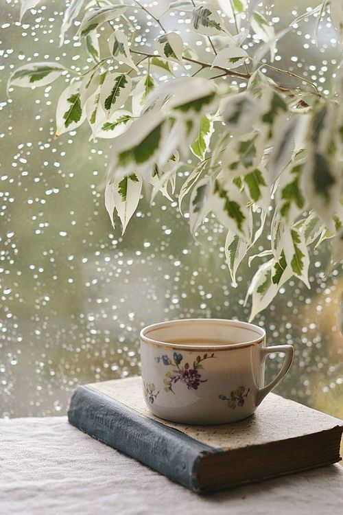 rain book teacup tazza tè pioggia libro