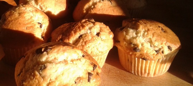 Muffin sperimentali – quasi una storia di famiglia