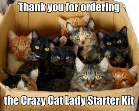 crazy-cat-lady-kit