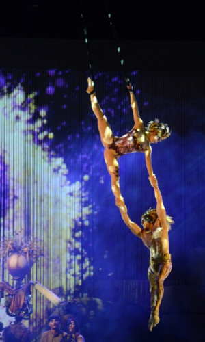 expo-cirque-du-soleil
