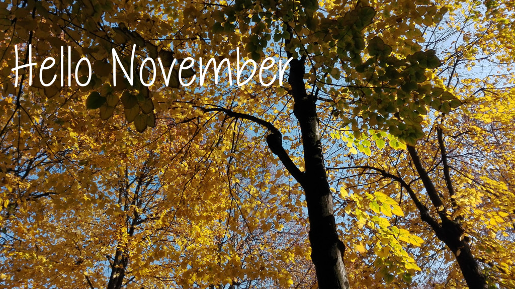 hellonovember