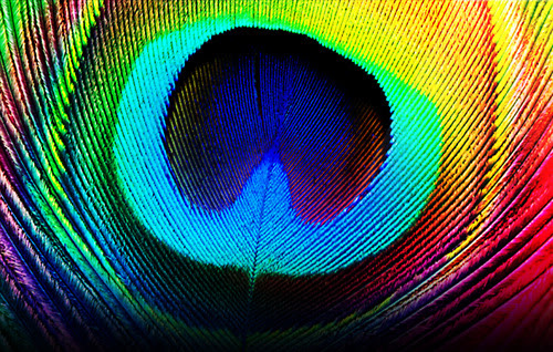 Teoria del colore - ArmocromiaTheory of colour - chromarmony