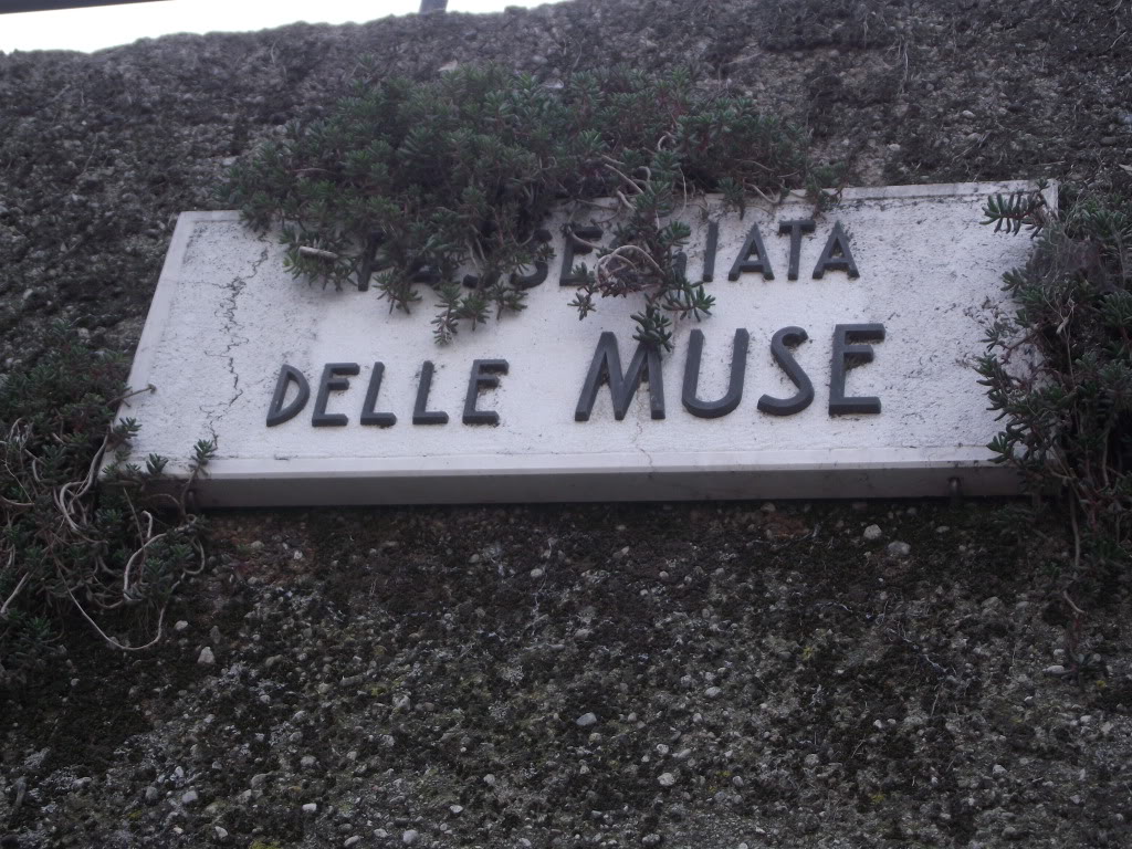 Scatola MusaMusa's box